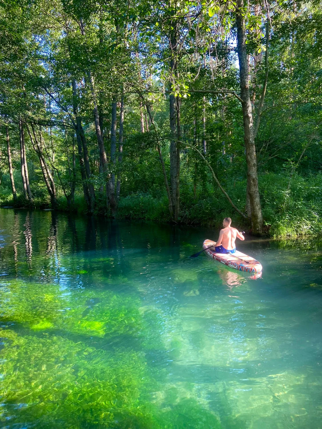 Человек на сапе в прозрачной воде среди леса