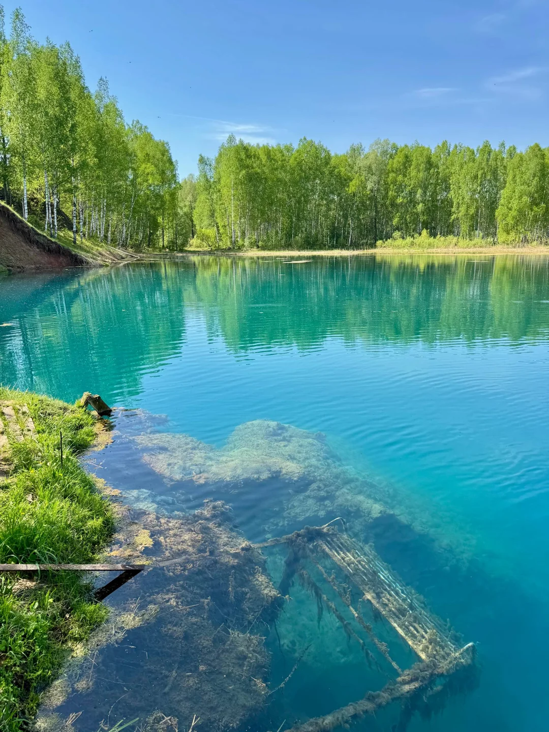 Бирюзовая вода озера и зелёный лес на противоположном берегу
